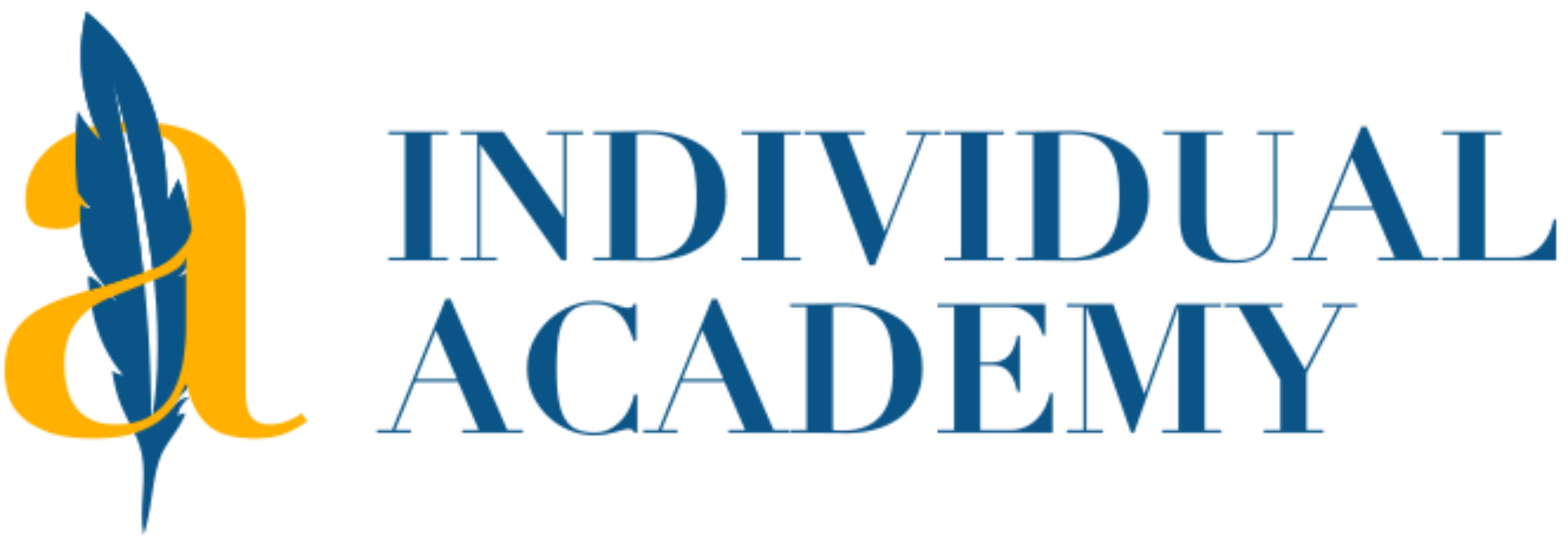 Individual Academy